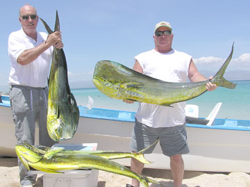 La Paz Mexico Fishing Photo 1