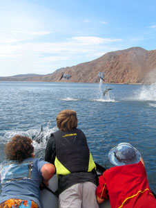 Mulege Mexico Fishing Photo 2