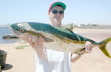 San Quintin Mexico Fishing Photo 1