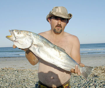 Baja Mexico Fishing Photo 3