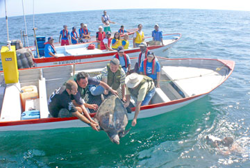 Magdalena Bay Mexico Fishing Photo 1