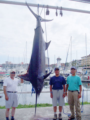 Puerto Vallarta Mexico Fishing Photo 2