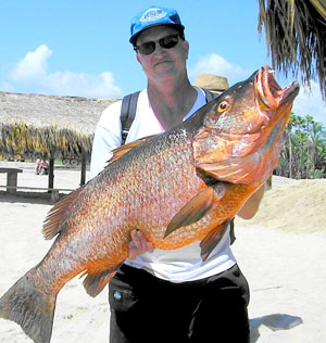 San Jose del Cabo Photo 1