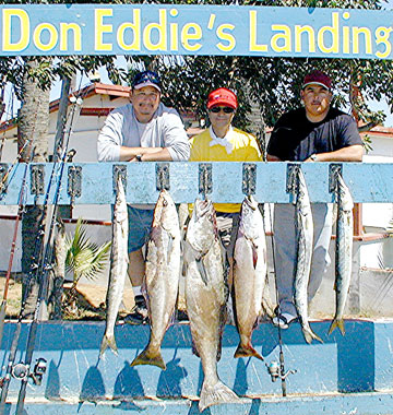 San Quintin Mexico Fishing Photo 1