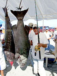 Baja Fishing Photo 3