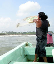 Mexico Fishing Photo 3