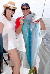 Mazatlan Mexico Fishing Photo 1