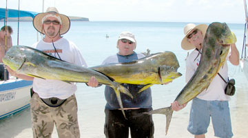 La Paz Mexico Fishing Photo 3