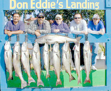 San Quintin Mexico Fishing Photo 1