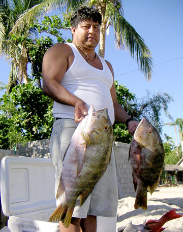 East Cape Mexico Fishing Photo 1