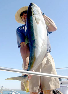 Baja California Mexico Fishing Photo 2