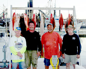 Rocky Point (Puerto Peñasco) Mexico Fishing Photo 1