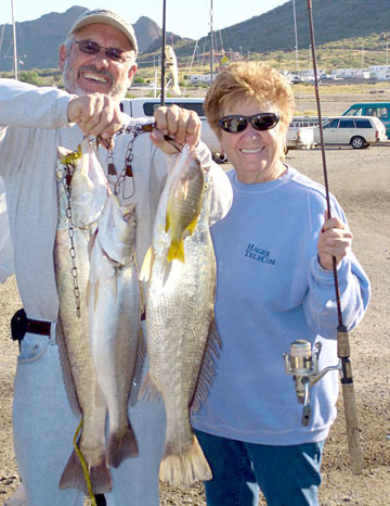 San Carlos Mexico Fishing Photo 1