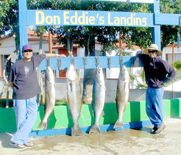 San Quintin Mexico Fishing Photo 1