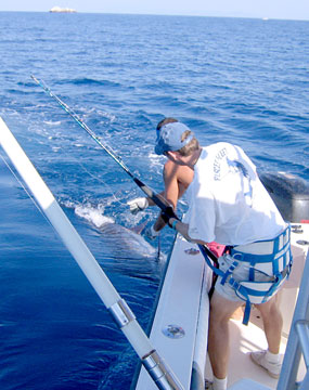 Puerto Vallarta Mexico Fishing Photo 7