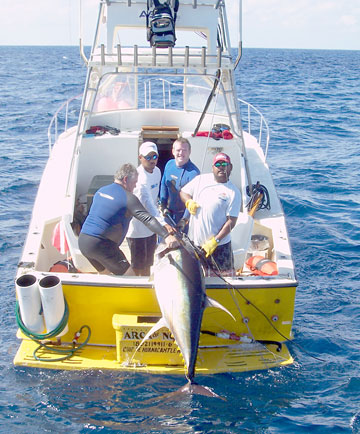 Puerto Vallarta Mexico Fishing Photo 1