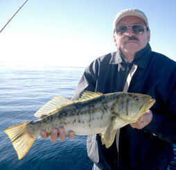 San Quintin Mexico Fishing Photo 2