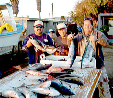 Castro's Camp Erendira Mexico Fishing Photo 1