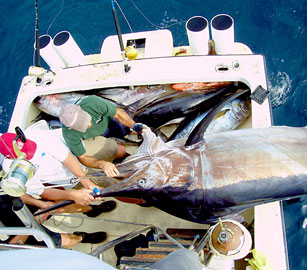 Puerto Vallarta Fishing Photo 2