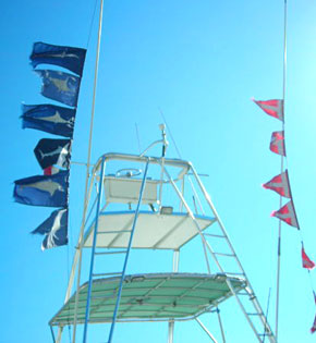 Cabo San Lucas Mexico Fishing Photo 7