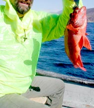 Puerto Santo Tomas Mexico Fishing Photo 2