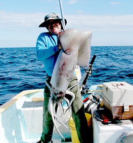 La Paz Mexico Fishing Photo 3