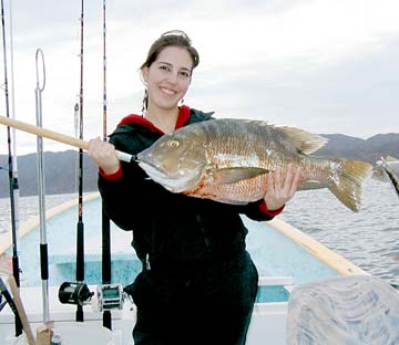 La Paz Mexico Fishing Photo 1