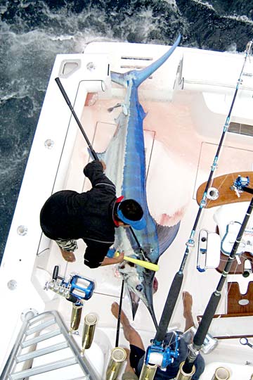 Puerto Vallarta Mexico Fishing Photo 1