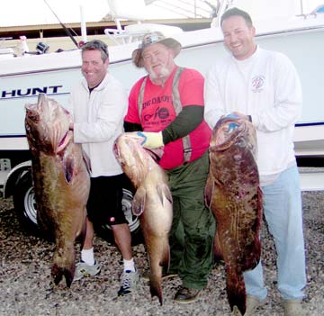 Rocky Point Mexico Fishing Photo 1