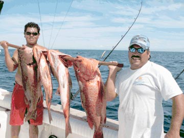 Puerto Vallarta Mexico Fishing Photo 2