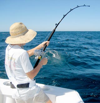 Puerto Vallarta Mexico Fishing Photo 4