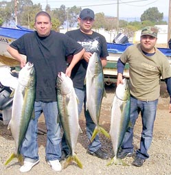 Ensenada Mexico Fishing Photo 1