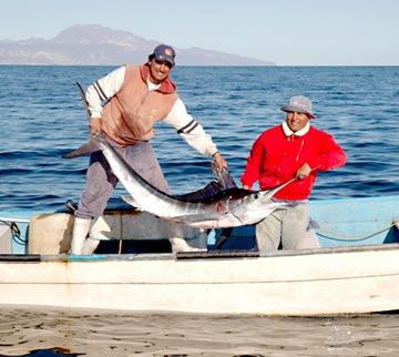 Mexico Fishing Photo 1