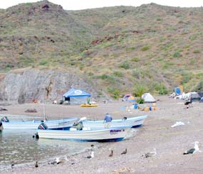 Baja California Mexico Fishing Photo 2