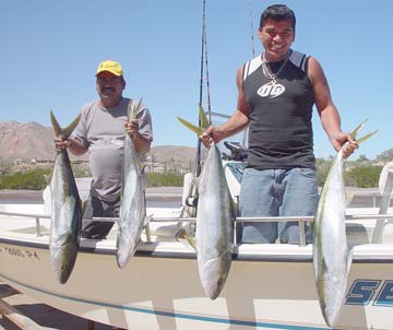 Mulege Mexico Fishing Photo 1