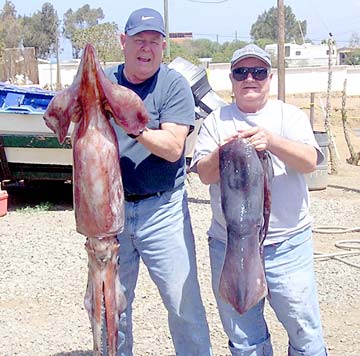 Ensenada Mexico Fishing Photo 1