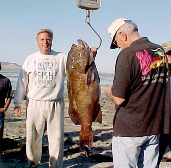 Rocky Point Mexico Fishing Photo 1