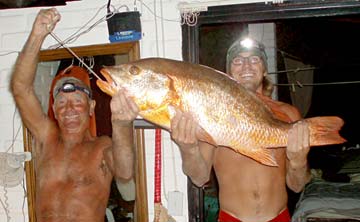 Mulege Mexico Fishing Photo 1