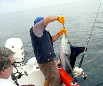 East Cape Mexico Fishing Photo 5