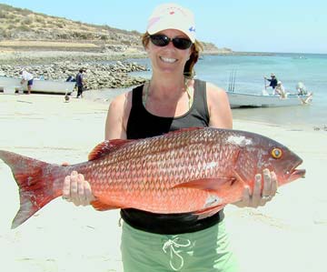 La Paz Mexico Fishing Photo 1