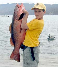 La Paz Mexico Fishing Photo 3