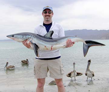 La Paz Mexico Fishing Photo 1