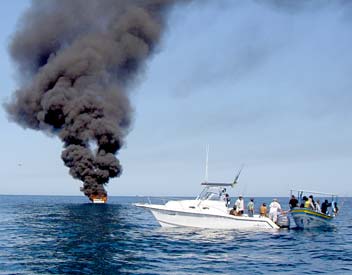 Rocky Point Mexico Fishing Photo 4