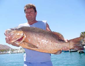 Cabo San Lucas Mexico Fishing Photo 3