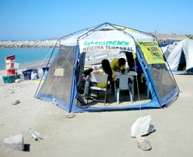 San Jose del Cabo Mexico Green Peace Protest Photo 2