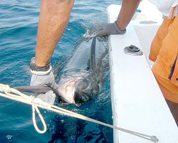 Ixtapa Mexico Fishing Photo 1