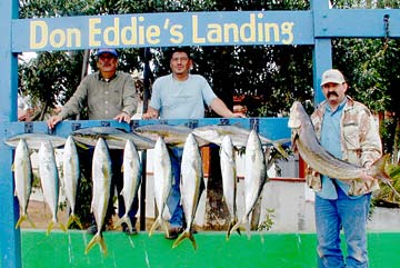 San Quintin Mexico Fishing Photo 1