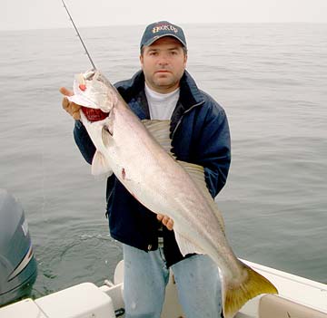 Mexico Fishing Photo 1