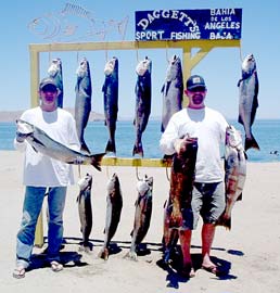 Bahia de los Angeles Mexico Fishing Photo 3