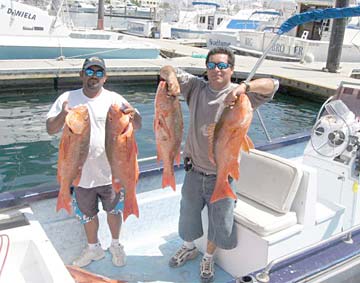 Cabo San Lucas Mexico Fishing Photo 4